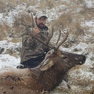 Meet your Posher, Paul